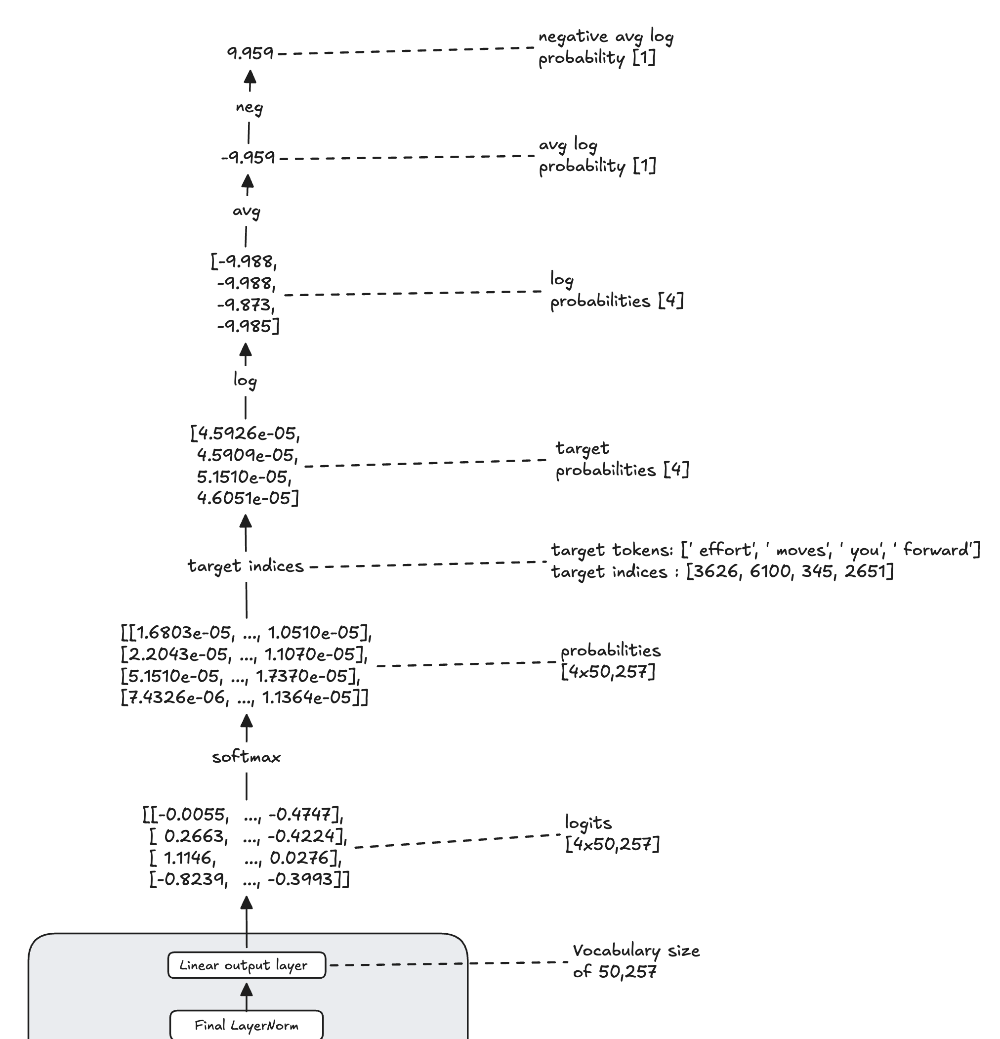 The final portion of GPT-2's forward pass followed by logits, softmax probabilities, target-token selection, log probabilities, averaging, and negation to produce the cross-entropy loss.